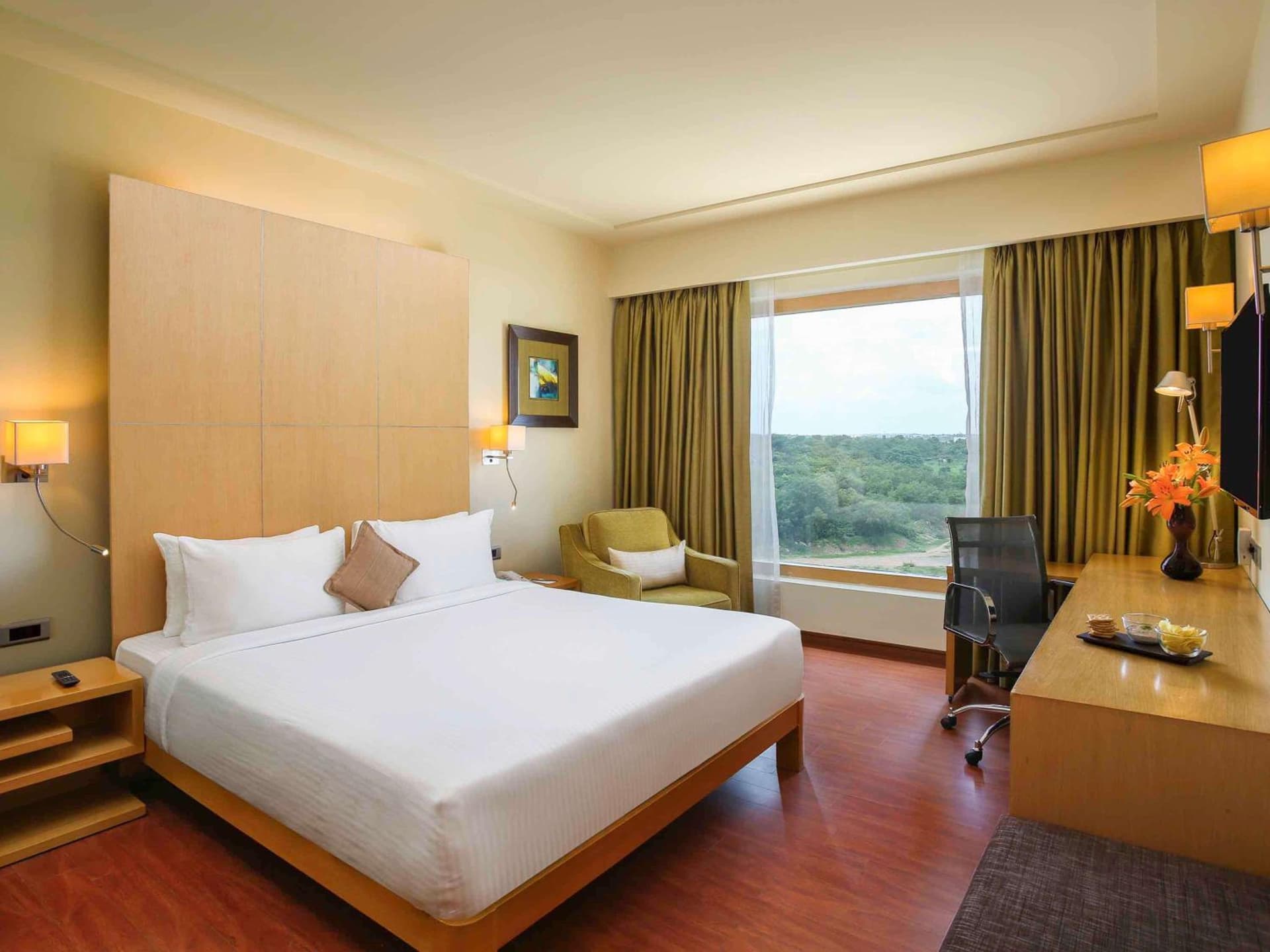 Superior Room with King Bed