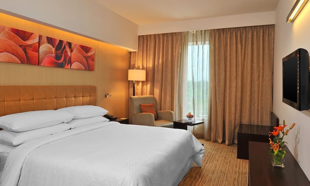 Club King Room