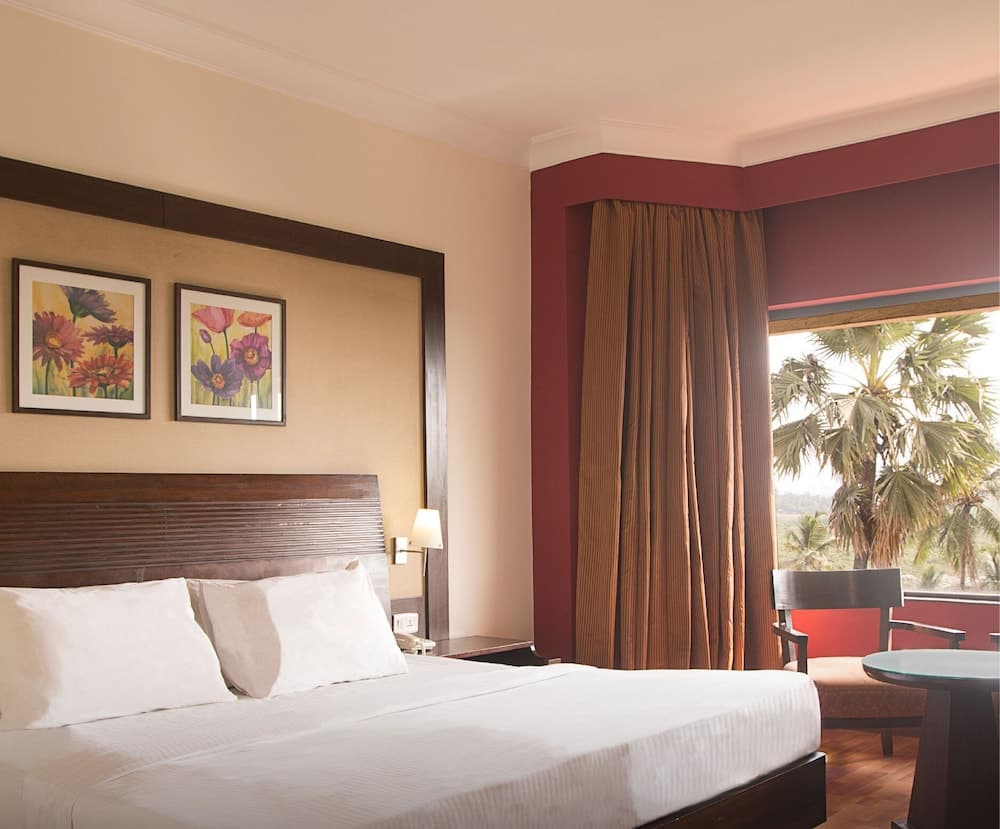 Deluxe King City View Room